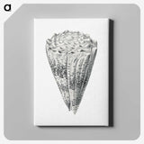 3-16_Ernst-Haeckel_canvas
