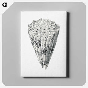 3-16_Ernst-Haeckel_canvas