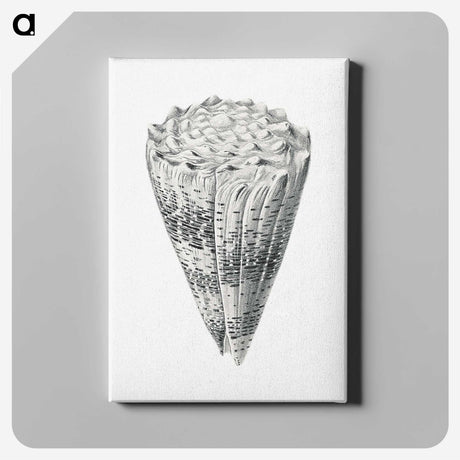 3-16_Ernst-Haeckel_canvas