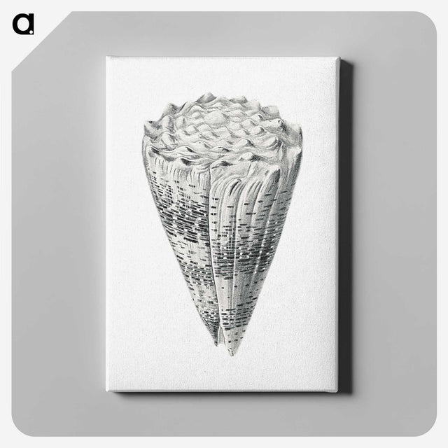 3-16_Ernst-Haeckel_canvas