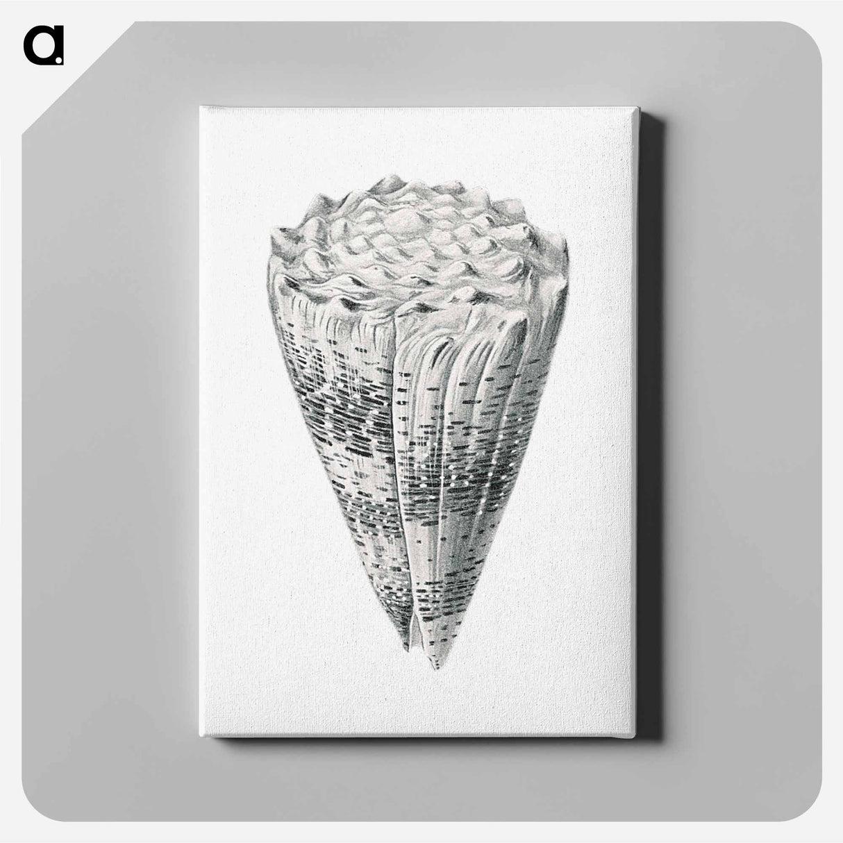 Vintage shell marine life illustration - エルンスト ヘッケル Canvas.