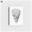 3-16_Ernst-Haeckel_memo