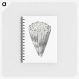 3-16_Ernst-Haeckel_memo