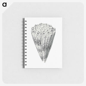 3-16_Ernst-Haeckel_memo