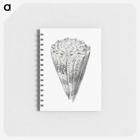 3-16_Ernst-Haeckel_memo