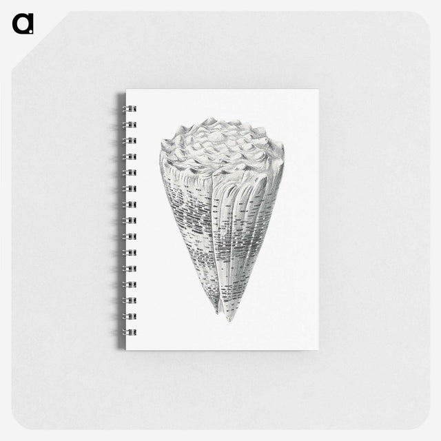 3-16_Ernst-Haeckel_memo