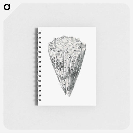アートメモ帳-Vintage shell marine life illustration - エルンスト ヘッケル Memo.
