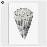 3-16_Ernst-Haeckel_picture-crop