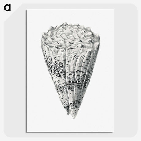 3-16_Ernst-Haeckel_picture-crop