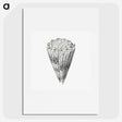 3-16_Ernst-Haeckel_picture