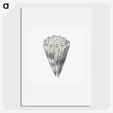 3-16_Ernst-Haeckel_picture