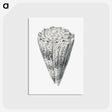 3-16_Ernst-Haeckel_postcard