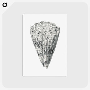 3-16_Ernst-Haeckel_postcard