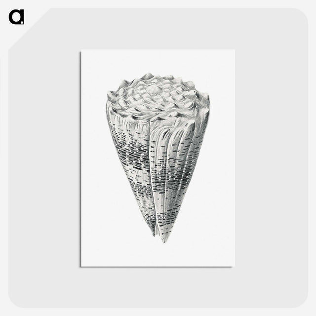 3-16_Ernst-Haeckel_postcard