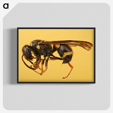 3-16_Insects-Unlocked-Project_blk-crop