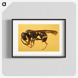 3-16_Insects-Unlocked-Project_blk