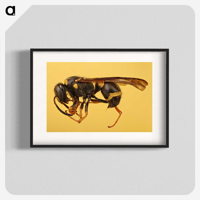 3-16_Insects-Unlocked-Project_blk