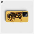 3-16_Insects-Unlocked-Project_phone