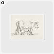 アートポストカード-Calf drinking with his mother - ジャン ベルナール Postcard.