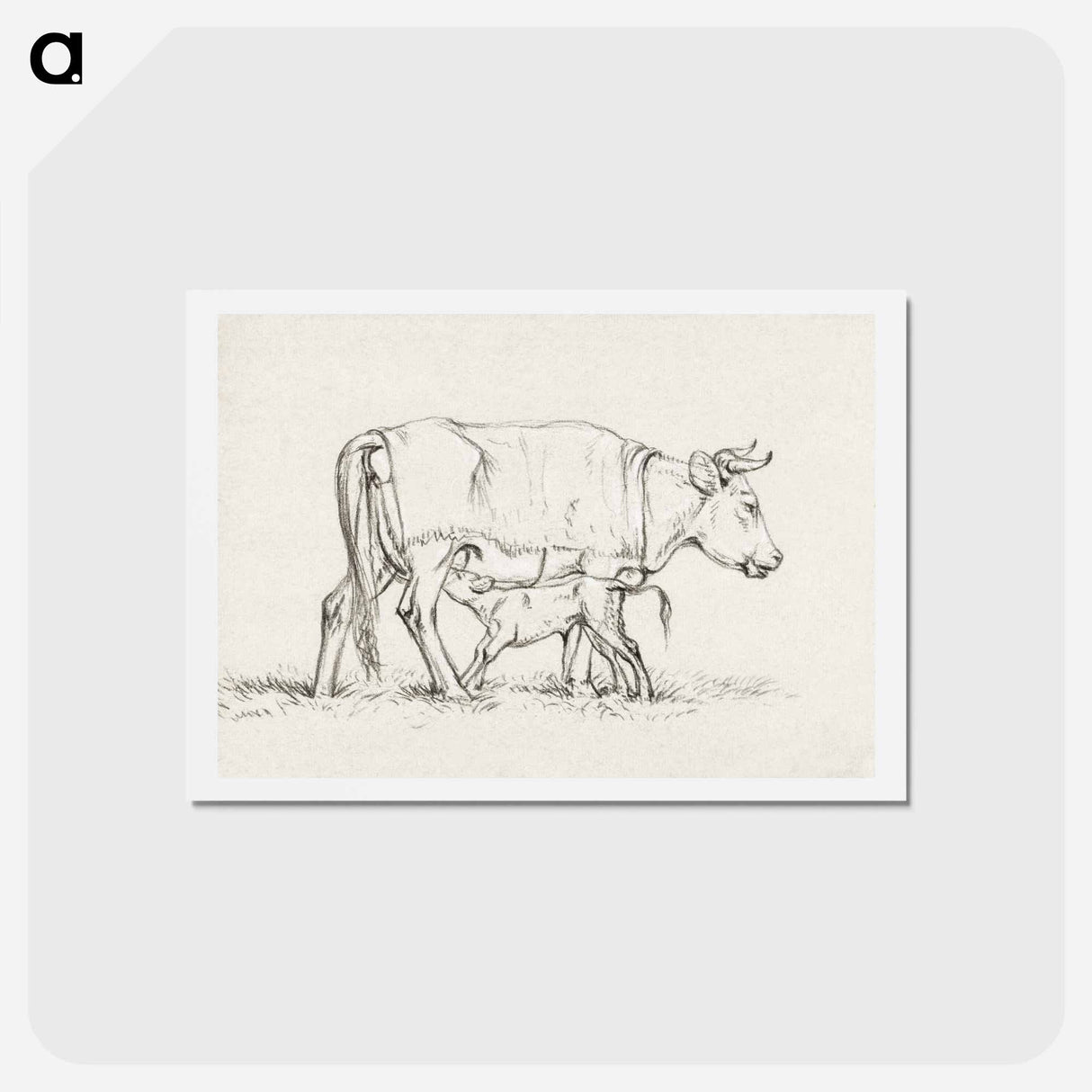 アートポストカード-Calf drinking with his mother - ジャン ベルナール Postcard.