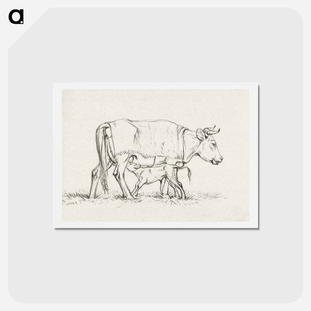 アートポストカード-Calf drinking with his mother - ジャン ベルナール Postcard.