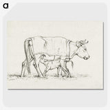 3-16_Jean-Bernard_picture-crop
