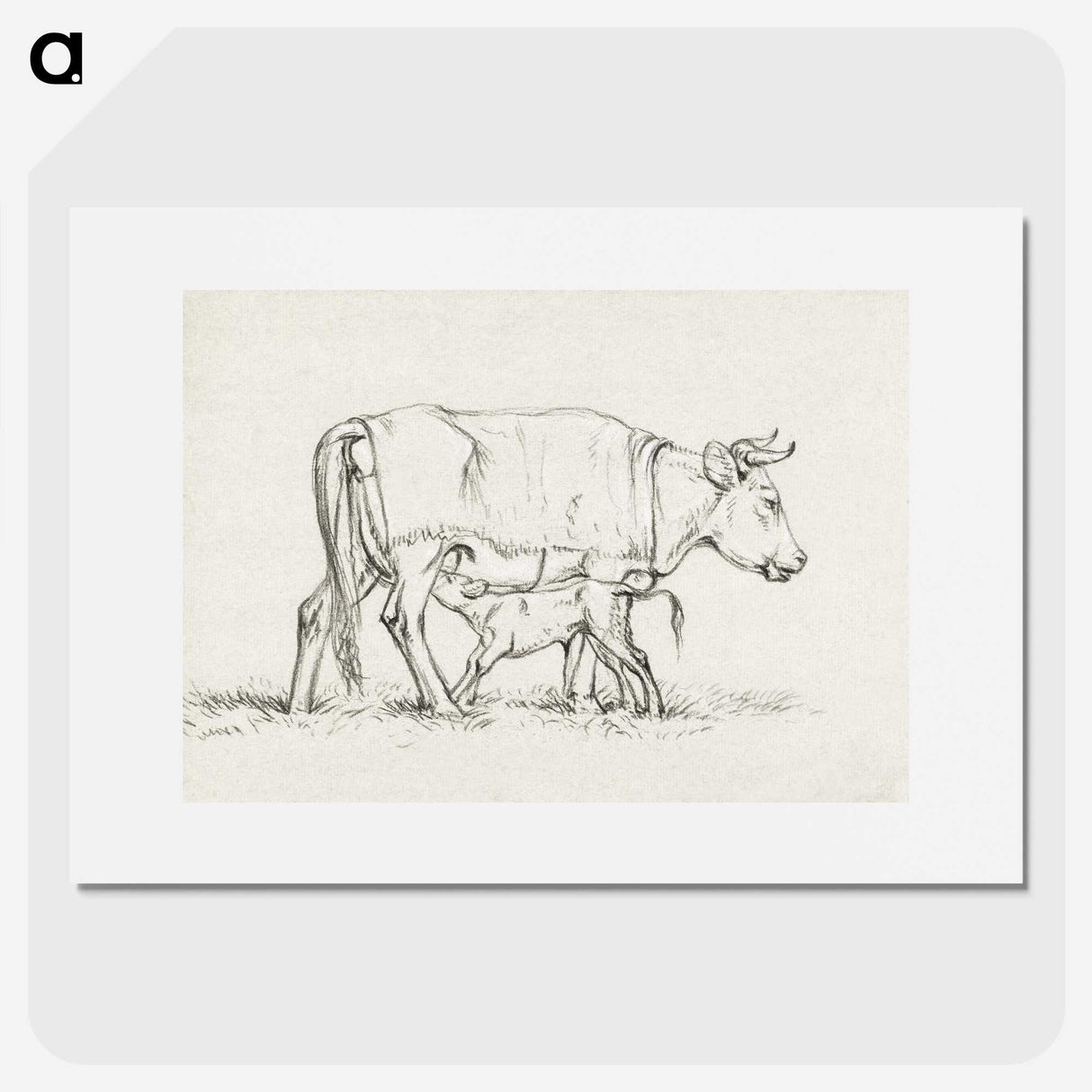3-16_Jean-Bernard_picture