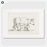 3-16_Jean-Bernard_picture