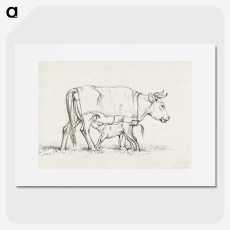 3-16_Jean-Bernard_picture