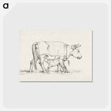 アートポストカード-Calf drinking with his mother - ジャン ベルナール Postcard.