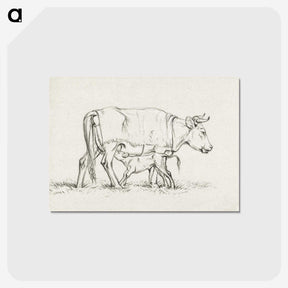3-16_Jean-Bernard_postcard