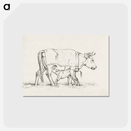 アートポストカード-Calf drinking with his mother - ジャン ベルナール Postcard.