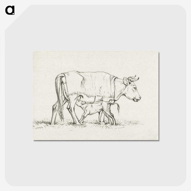 3-16_Jean-Bernard_postcard
