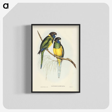 3-16_John-Gould_blk-crop