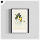 3-16_John-Gould_blk