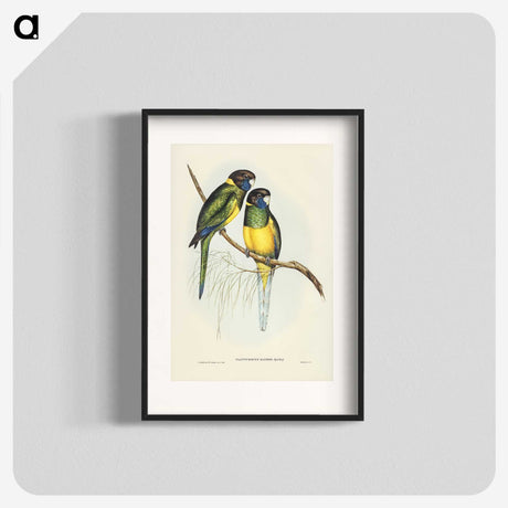 3-16_John-Gould_blk
