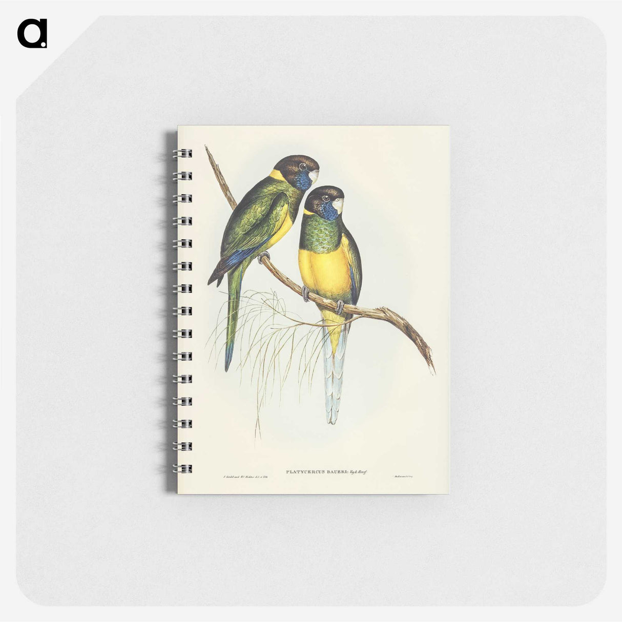 3-16_John-Gould_memo