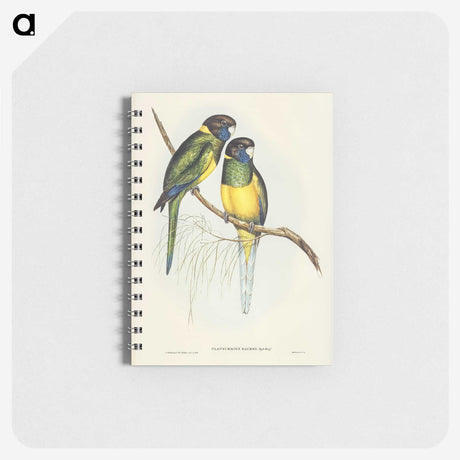 3-16_John-Gould_memo