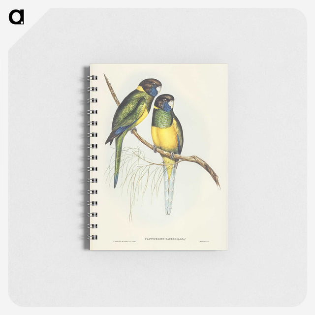3-16_John-Gould_memo