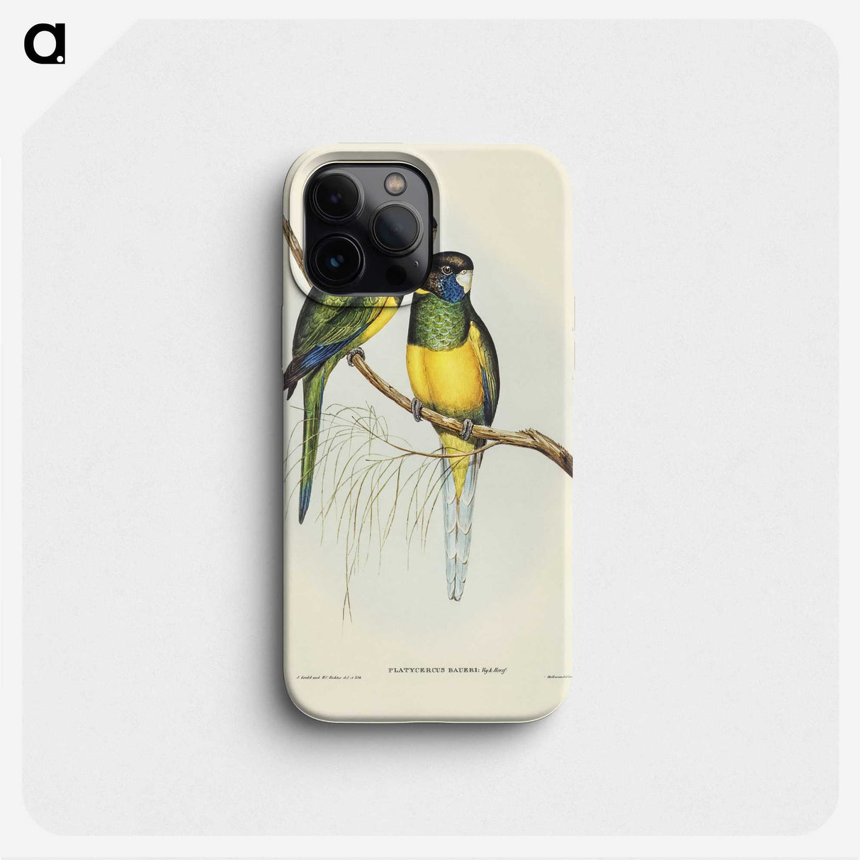 3-16_John-Gould_phone
