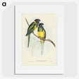 3-16_John-Gould_picture