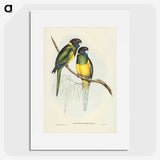 3-16_John-Gould_picture
