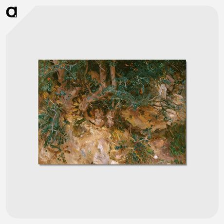 アートポストカード-Valdemosa, Majorca: Thistles and Herbage on a Hillside - ジョン シンガー サージェント Postcard.