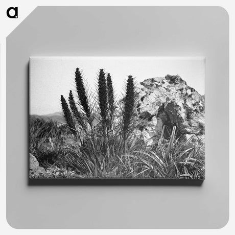 3-16_Leslie-Adkin_canvas