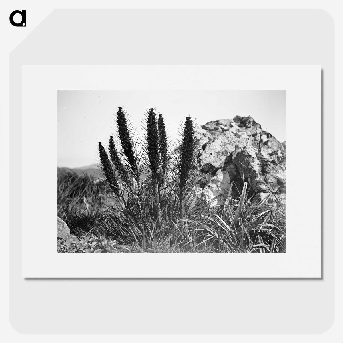 3-16_Leslie-Adkin_picture