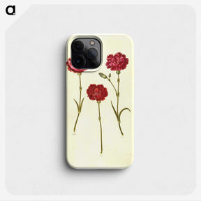 3-16_Maria-Sibylla-Merian_phone