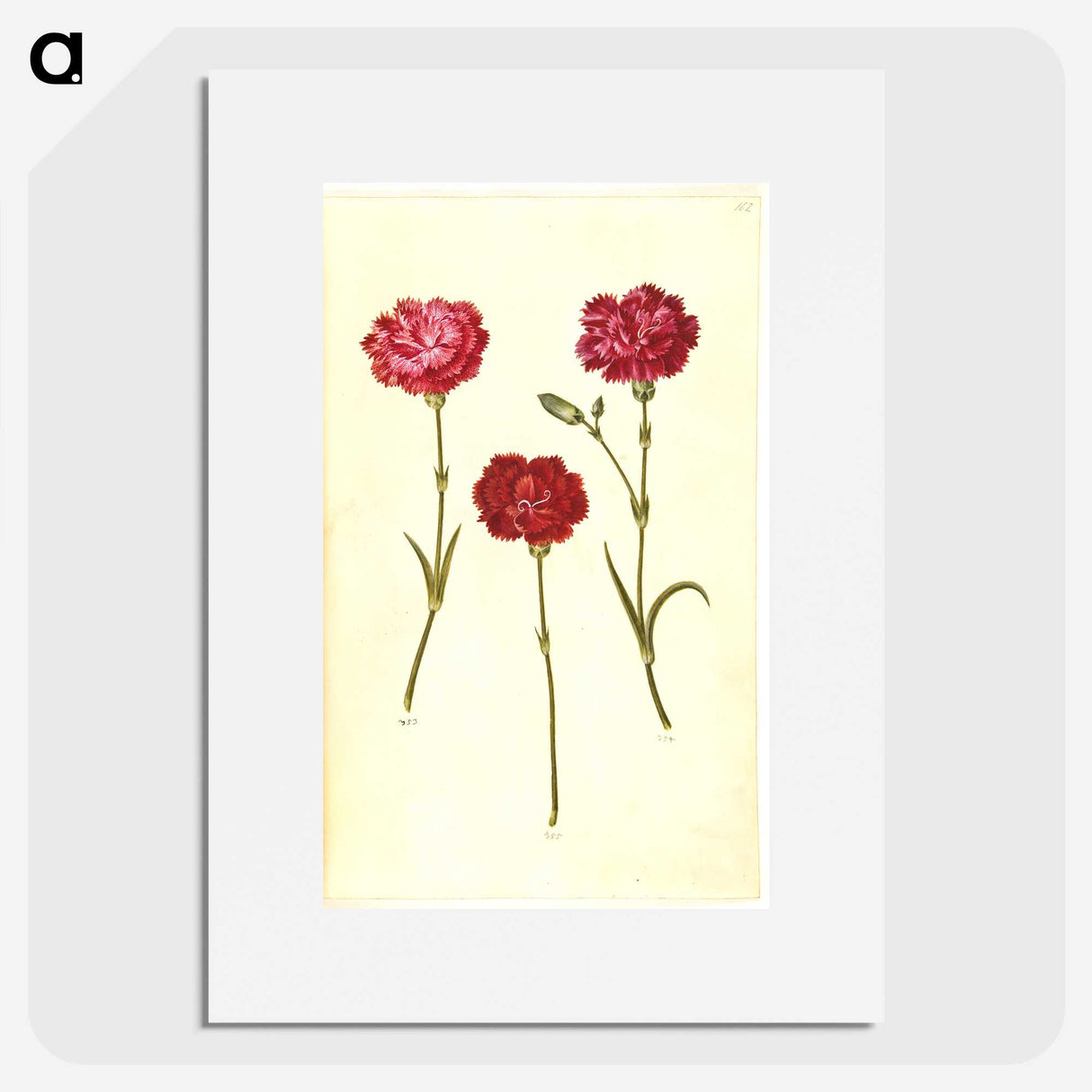 3-16_Maria-Sibylla-Merian_picture