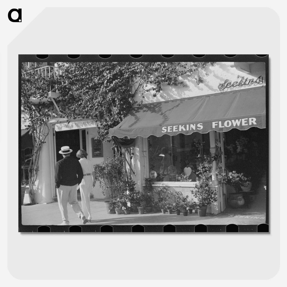 3-16_Marion-Post-Wolcott_picture-crop