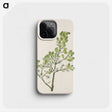 3-16_Mary-Vaux-Walcott_phone