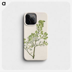 3-16_Mary-Vaux-Walcott_phone